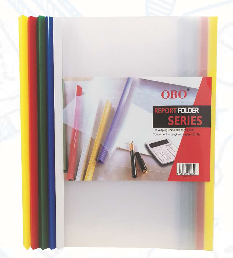 Imagen de Folder de costilla Q310